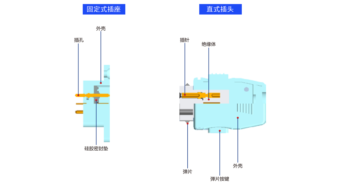 解剖J.png