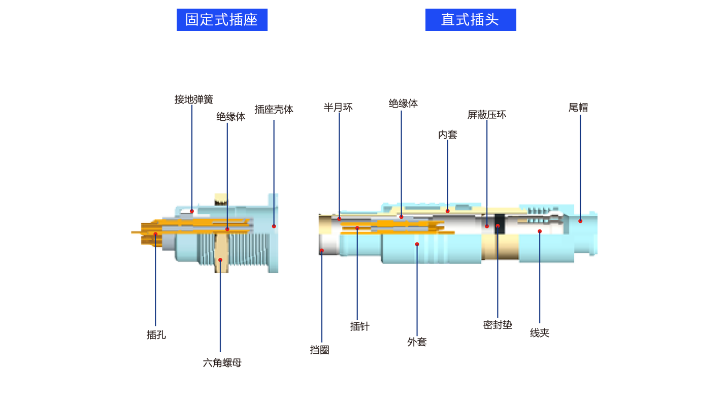 解剖F.png