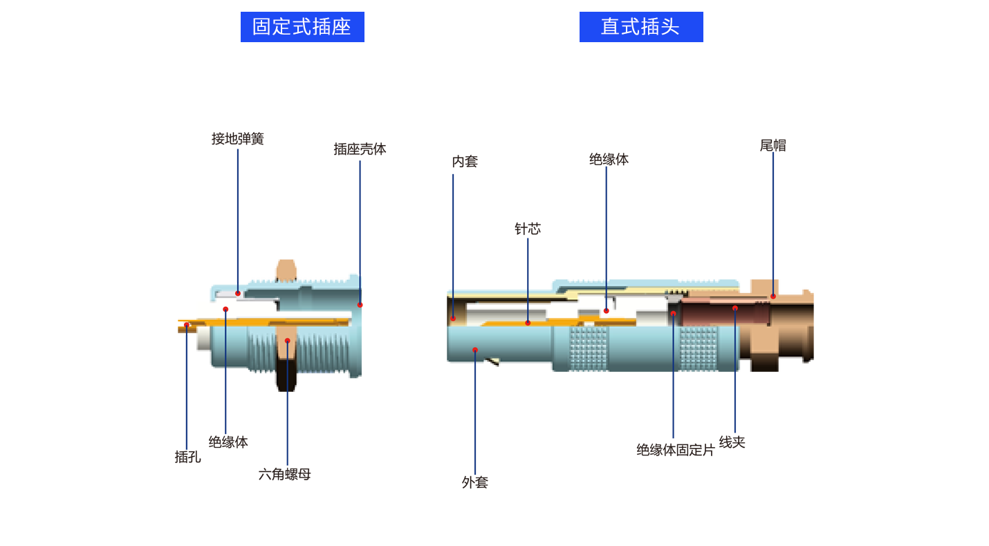 解剖同軸.png