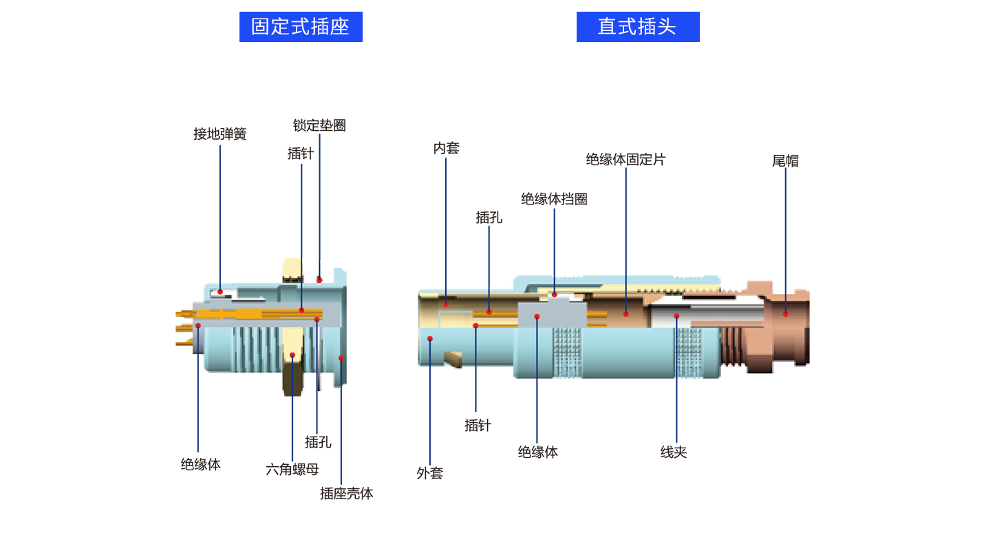 解剖S.png
