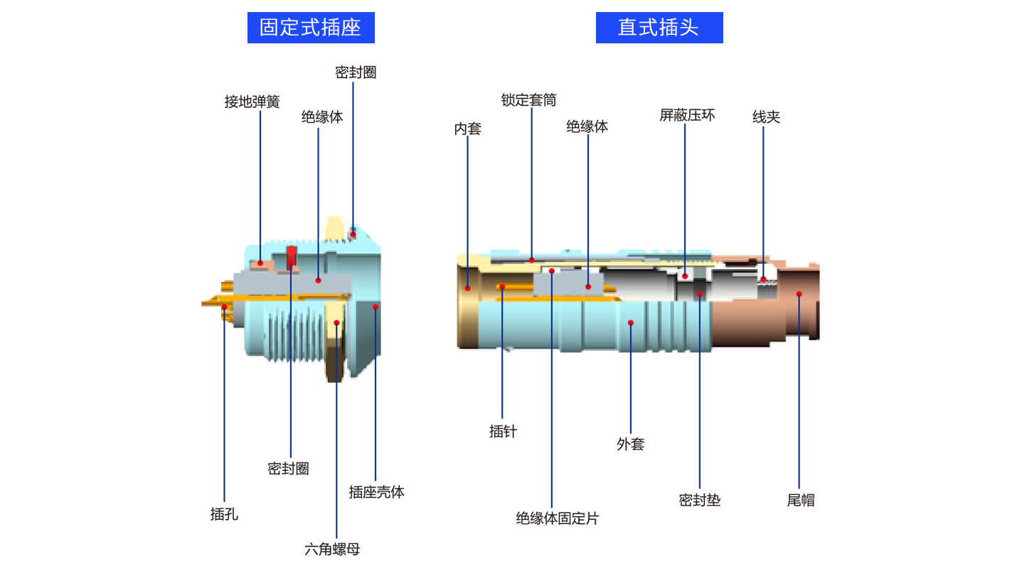 1626685774118130.png 解剖K.png