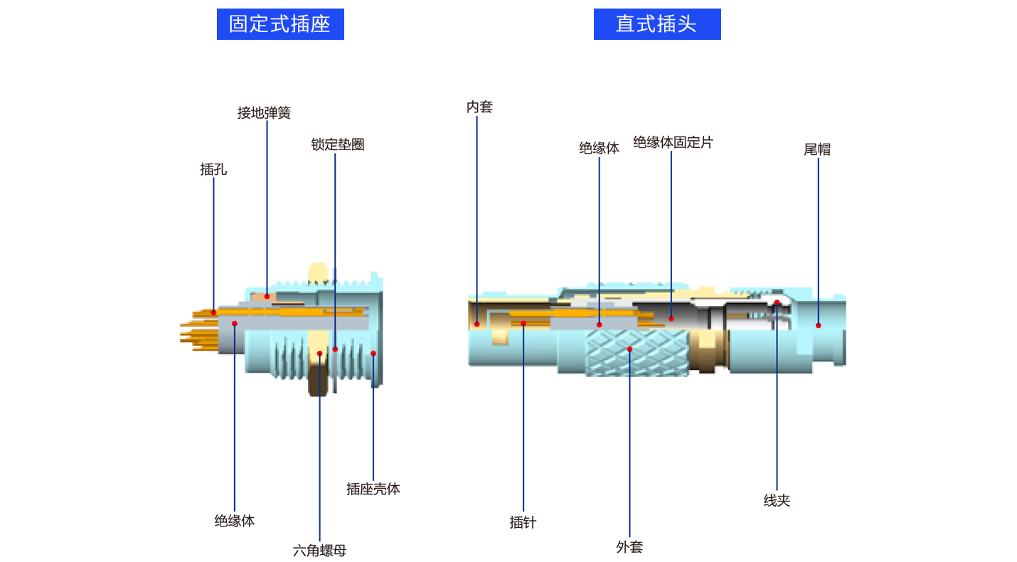 1626686559576797.png 解剖B.png