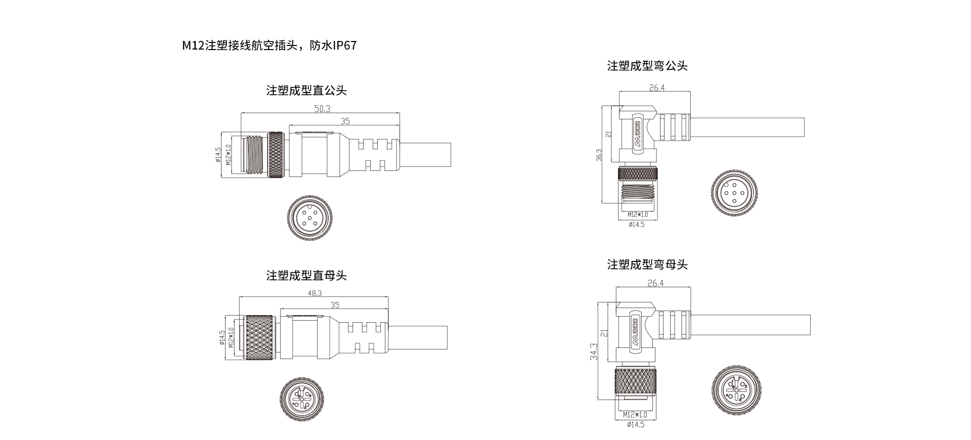 M12帶線.jpg